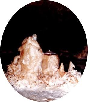 Stalagmite showing repair from vandalism.