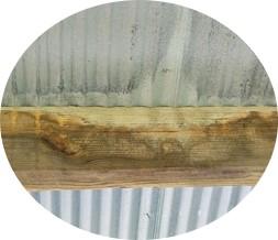 Corrosion is between two dissimilar materials preserved wood and galvanized metal.