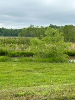 Why do different grass grow in the area?